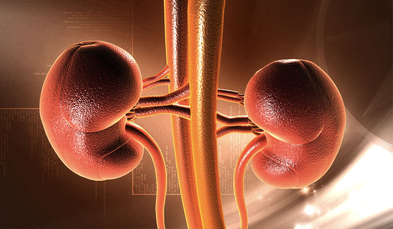 how-to-help-your-kidneys-stay-healthy-healthykidneyclub