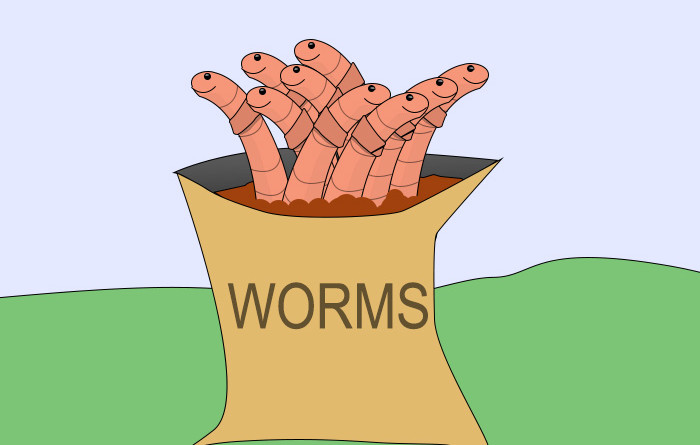 WAYS OF RULING OUT WORMS INFESTATION IN KIDS