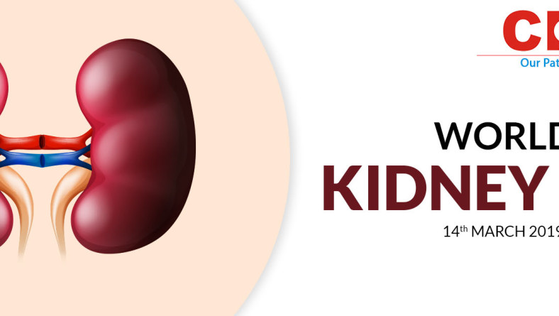 What You Can Do For Your Kidneys: The Eight Golden Rules